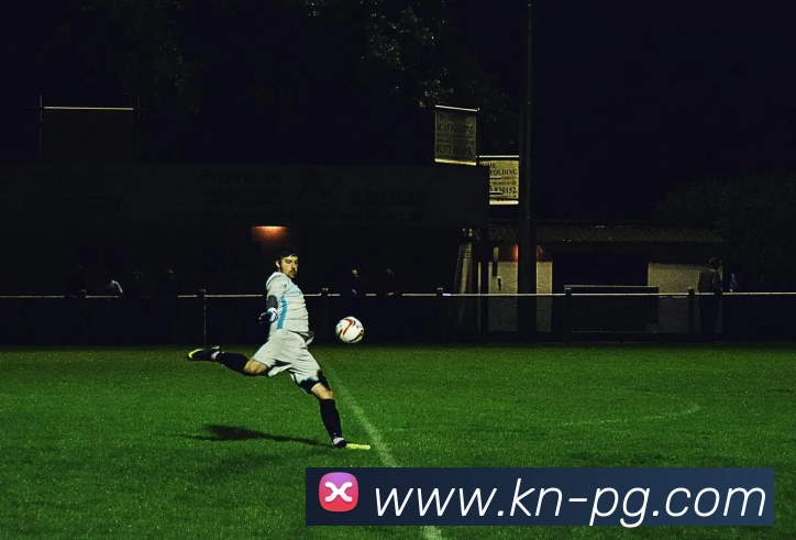 pg电子平台生态图